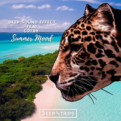 Deep Sound Effect & Cotry - Summer Mood [BLR009]